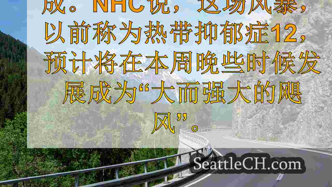 西雅图新闻 SeattleCH