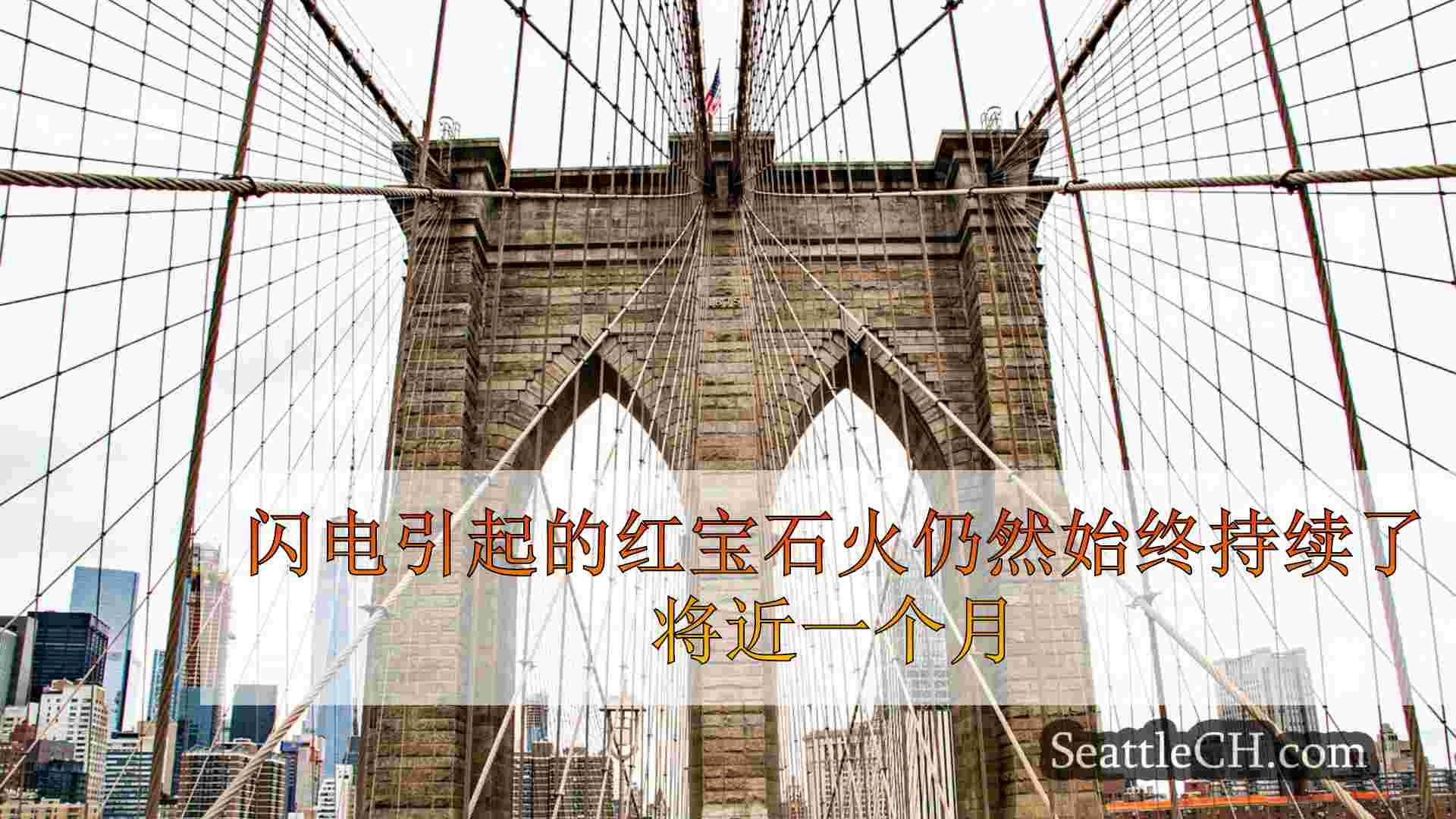 西雅图新闻 SeattleCH