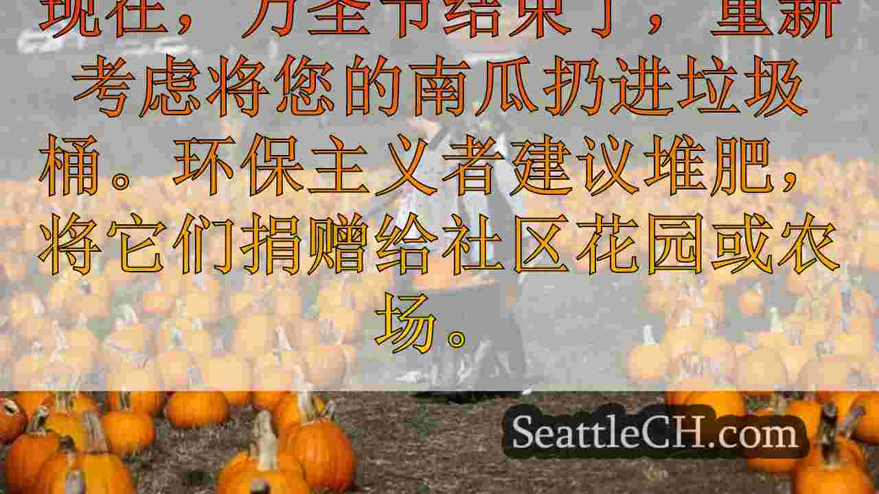顶级南瓜斑块，西雅图附近的玉米迷宫现在可以参观