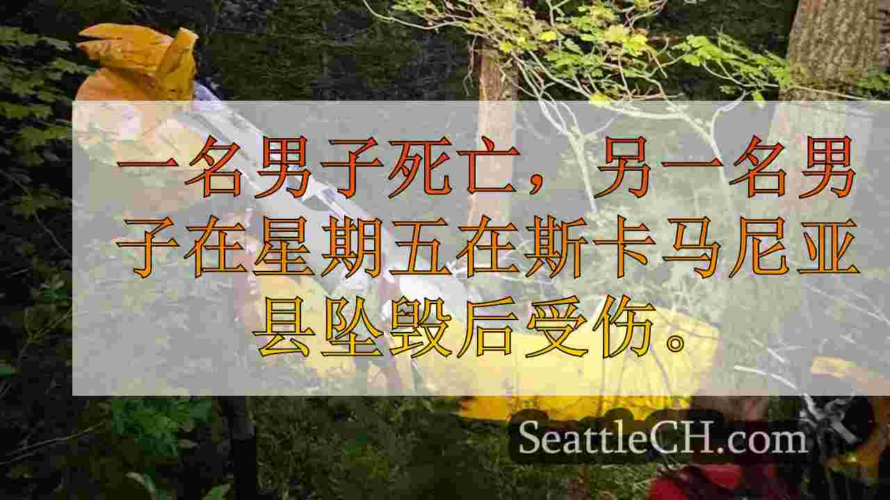飞机失事杀死了乘客，在斯卡马尼亚县受伤