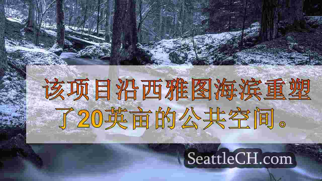 西雅图新闻 SeattleCH