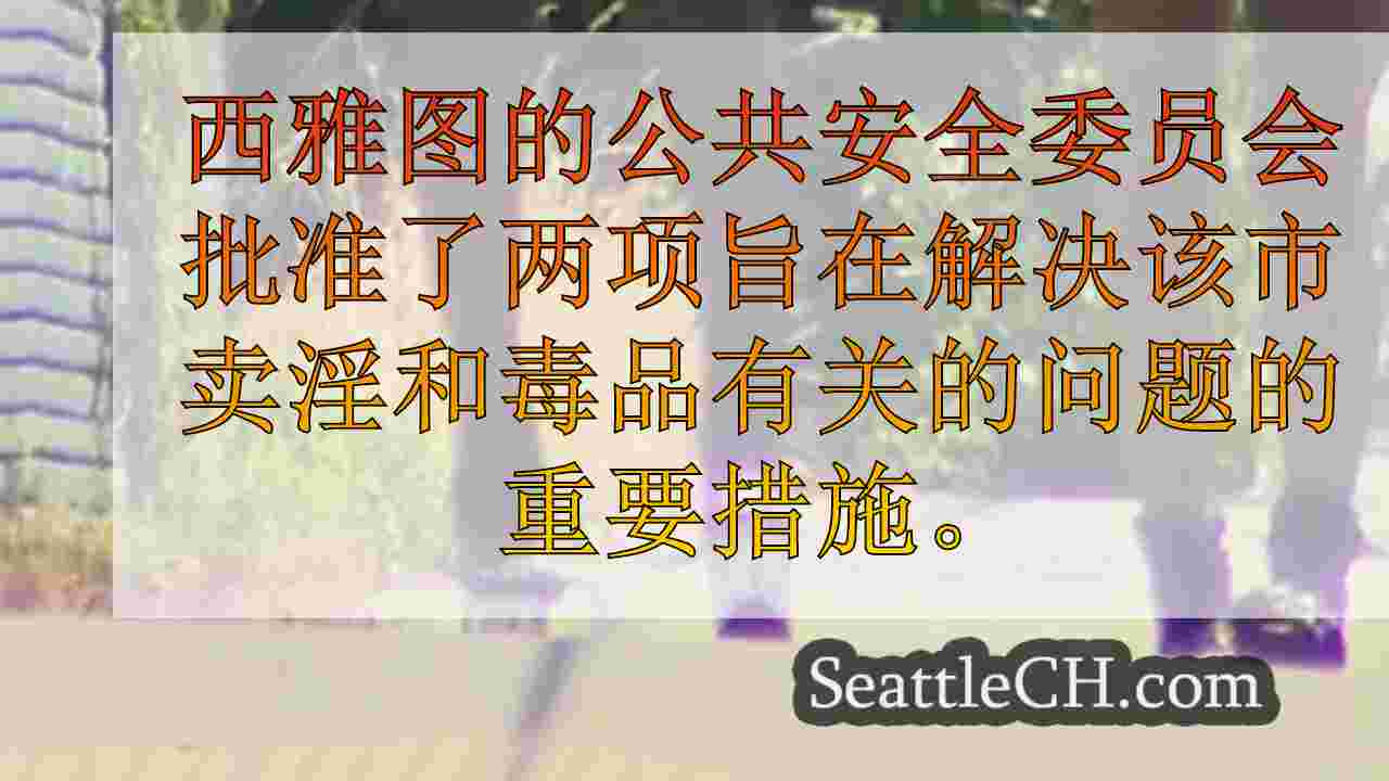 西雅图更接近禁止卖淫和药品区