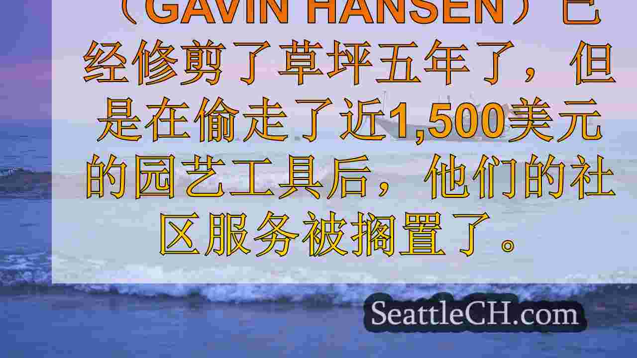 联邦方式青少年的草坪护理业务被盗窃