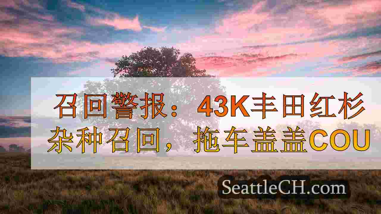 西雅图新闻 SeattleCH