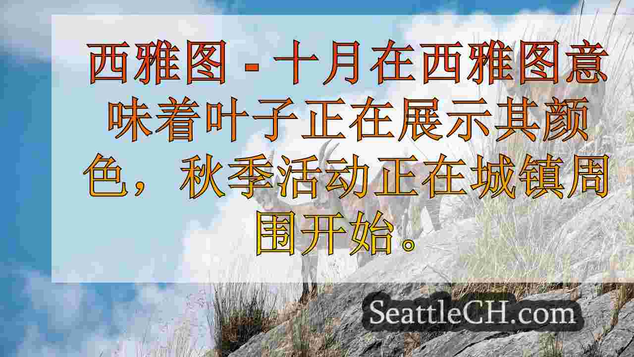 西雅图新闻 SeattleCH