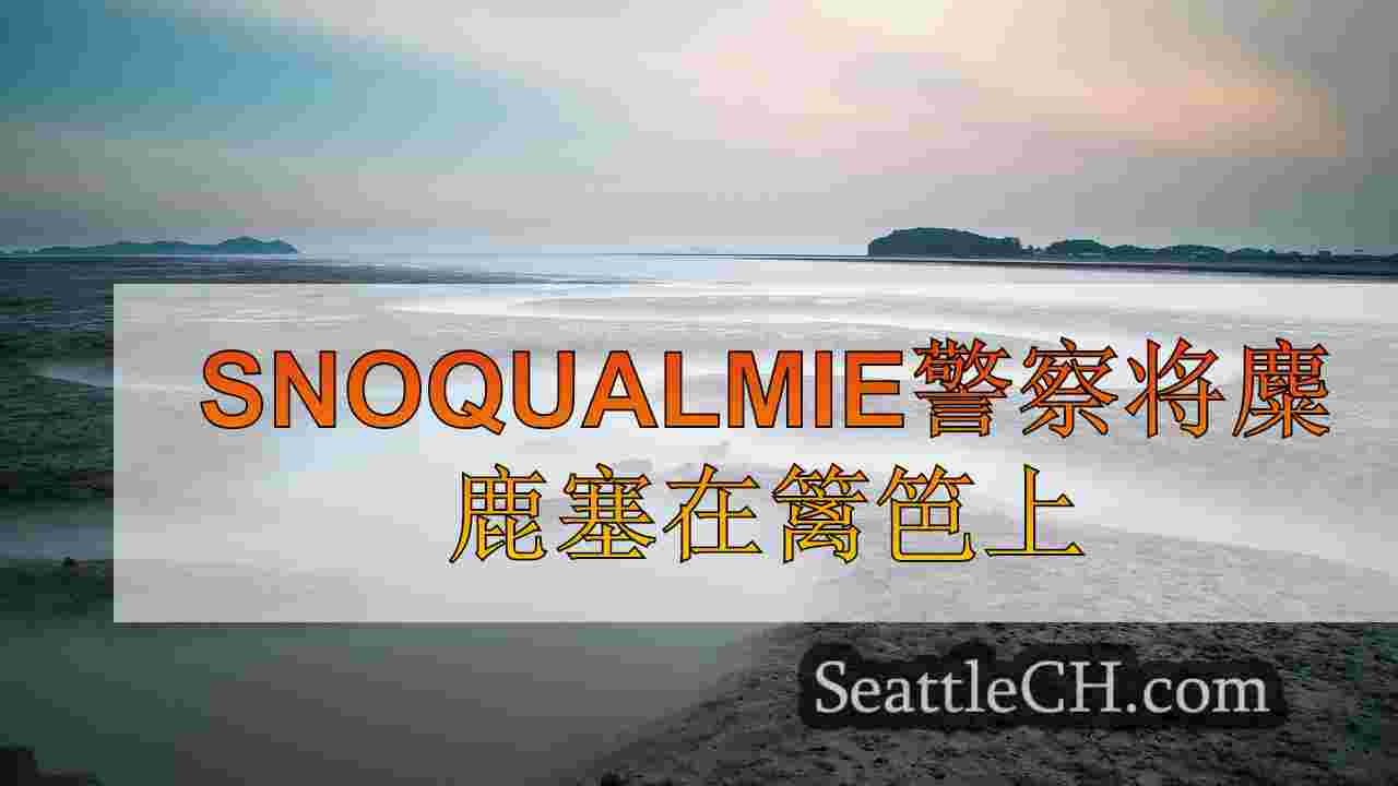 西雅图新闻 SeattleCH