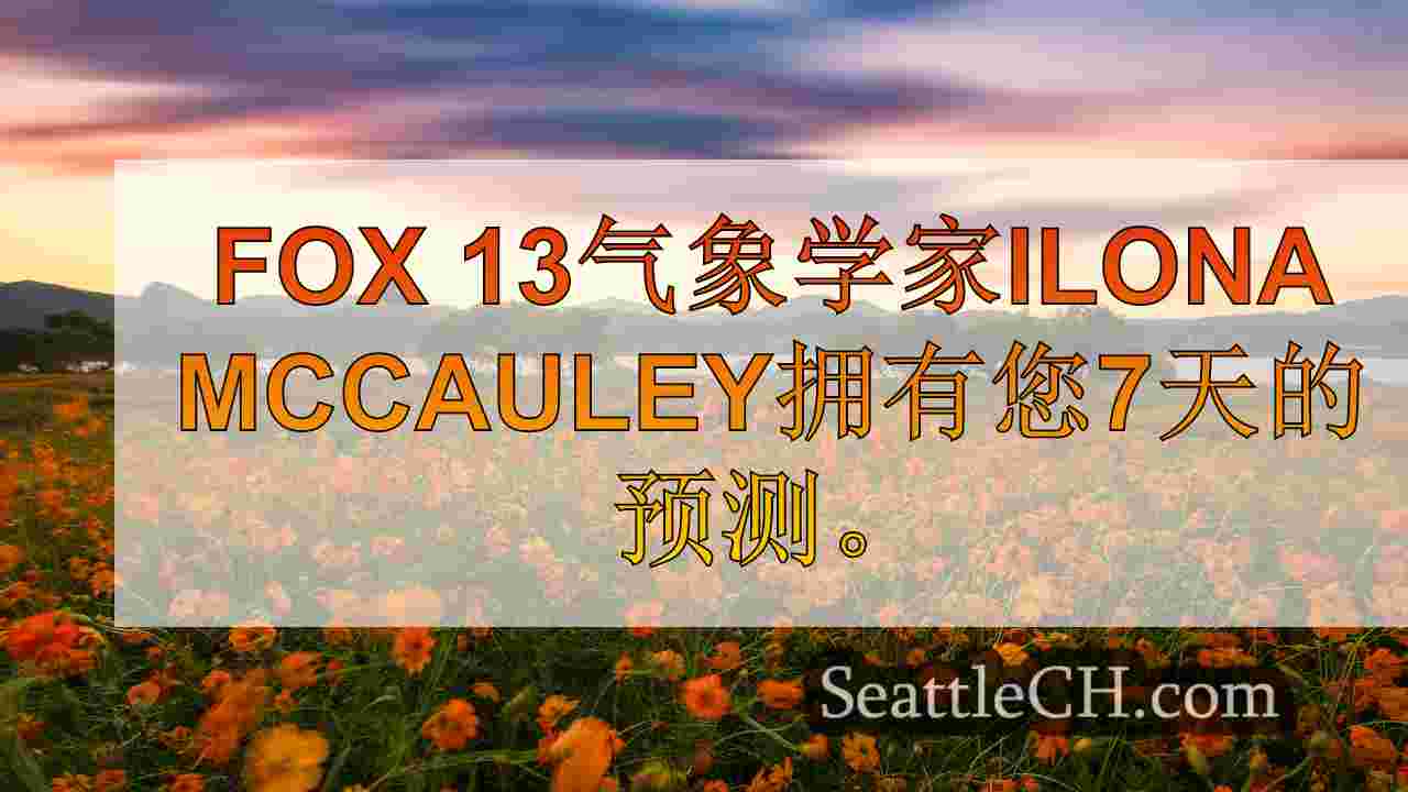 西雅图天气：周末凉爽，周围有几云