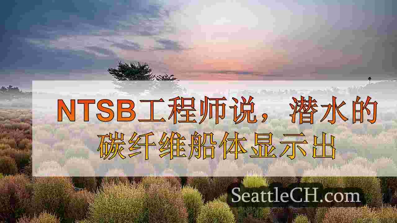 西雅图新闻 SeattleCH