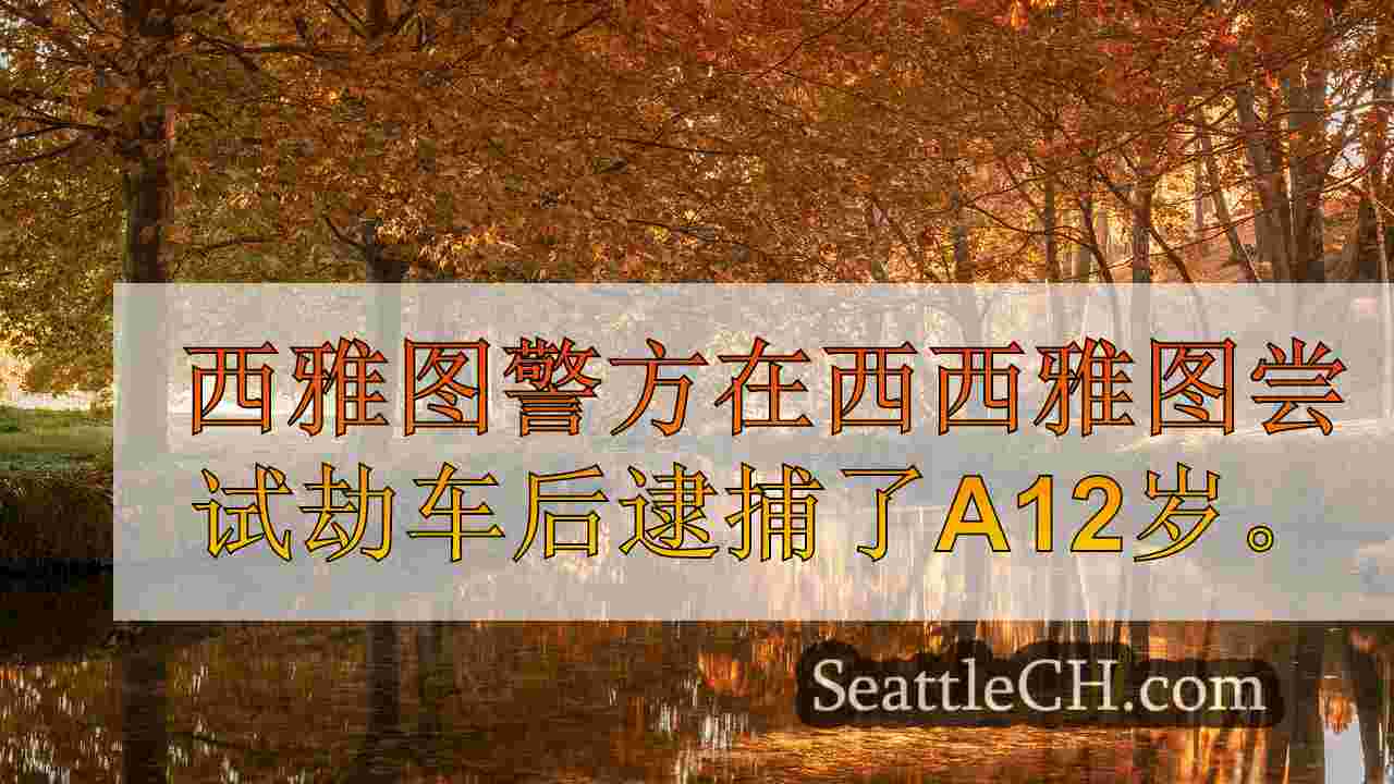 西雅图新闻 SeattleCH