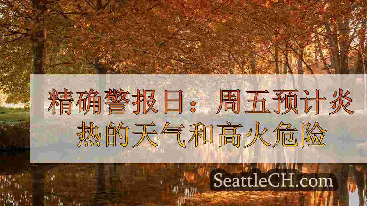 西雅图新闻 SeattleCH