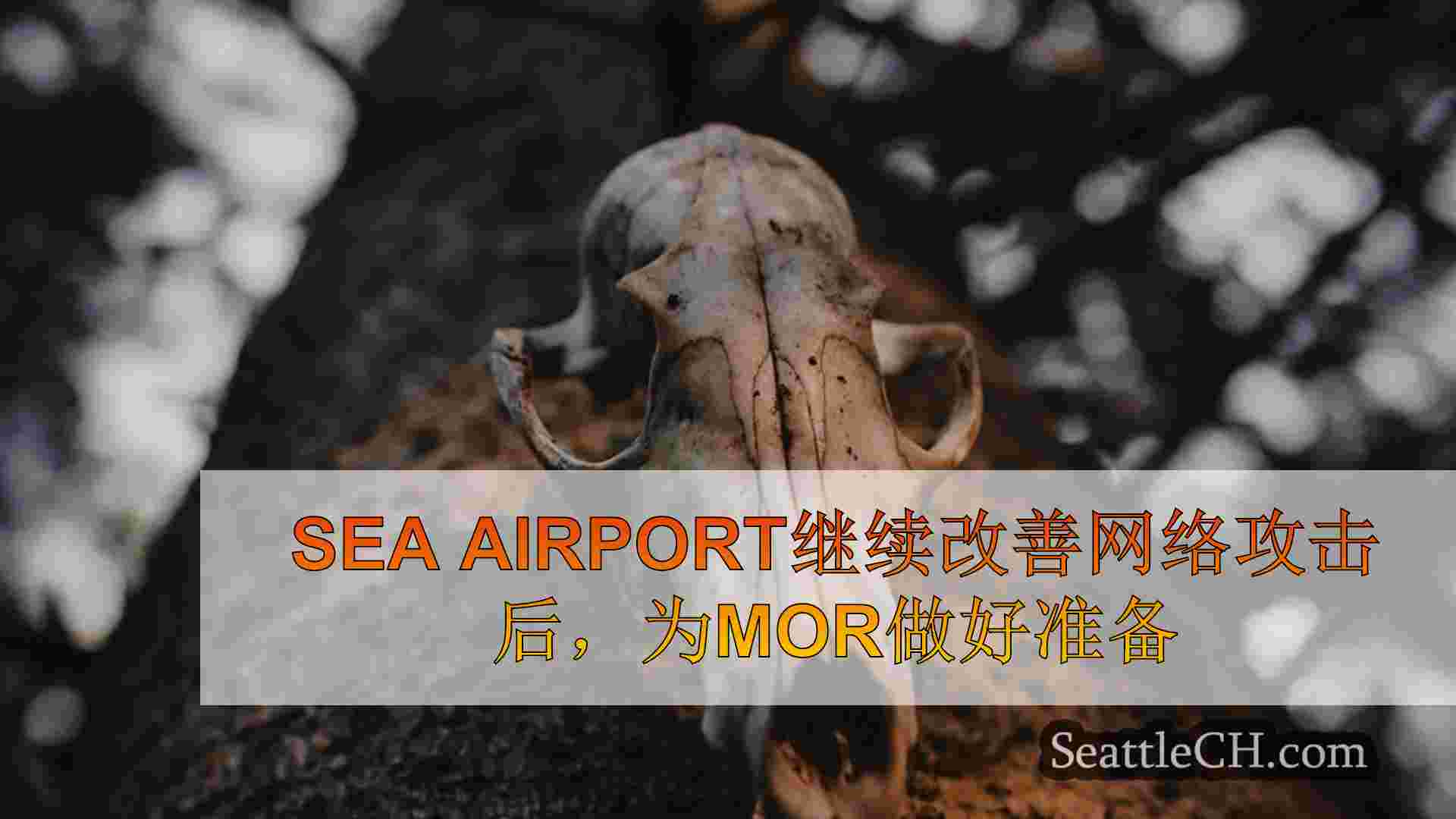 西雅图新闻 SeattleCH