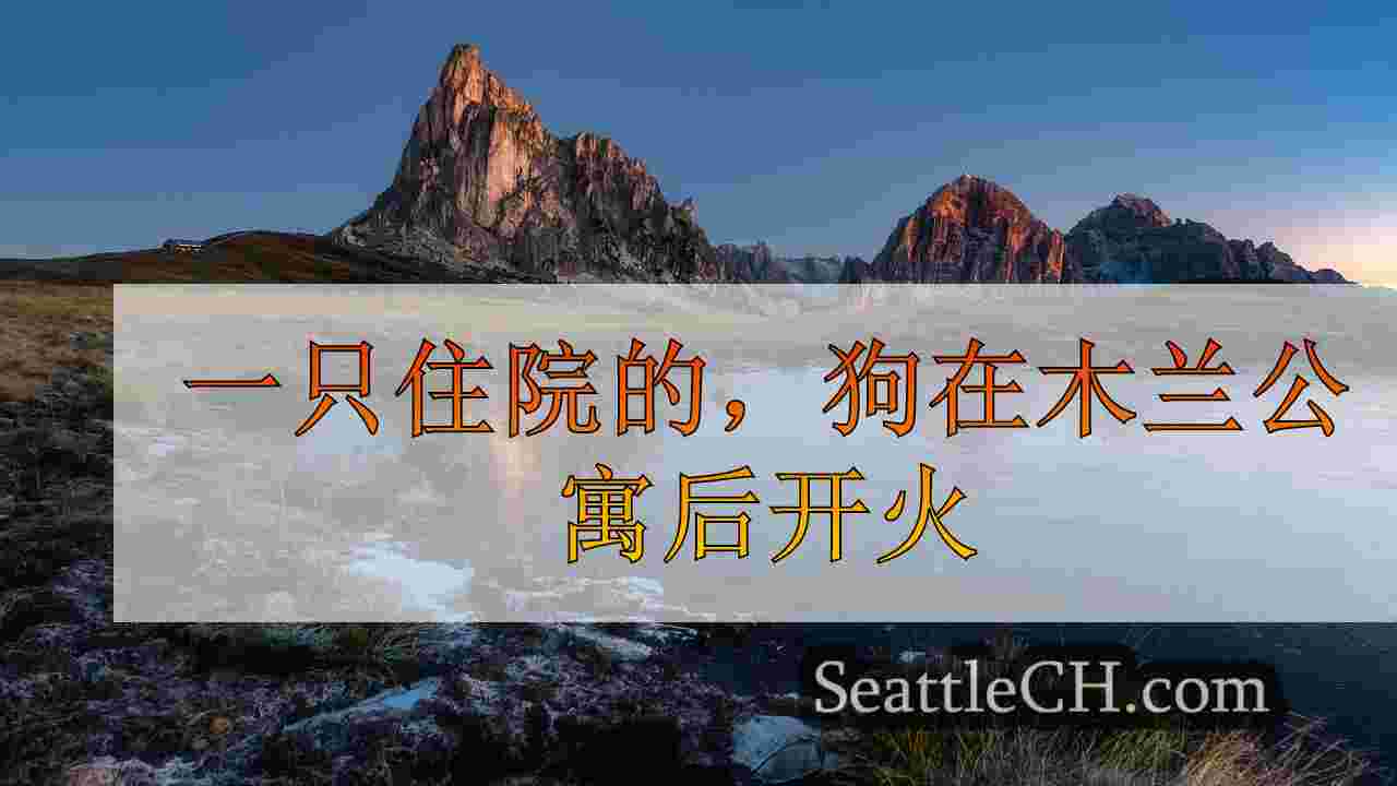 西雅图新闻 SeattleCH