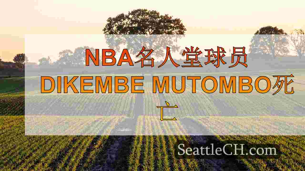 西雅图新闻 SeattleCH