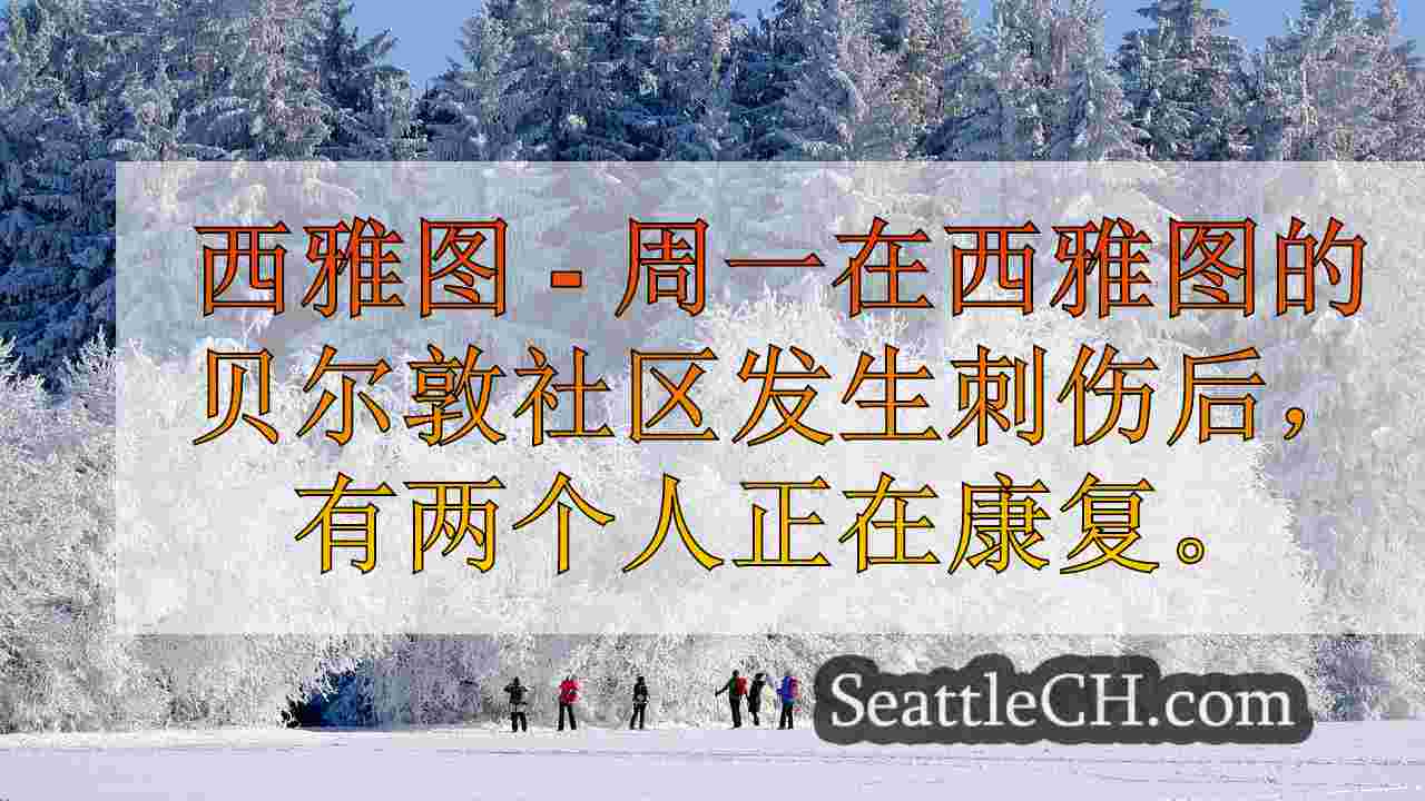 西雅图新闻 SeattleCH