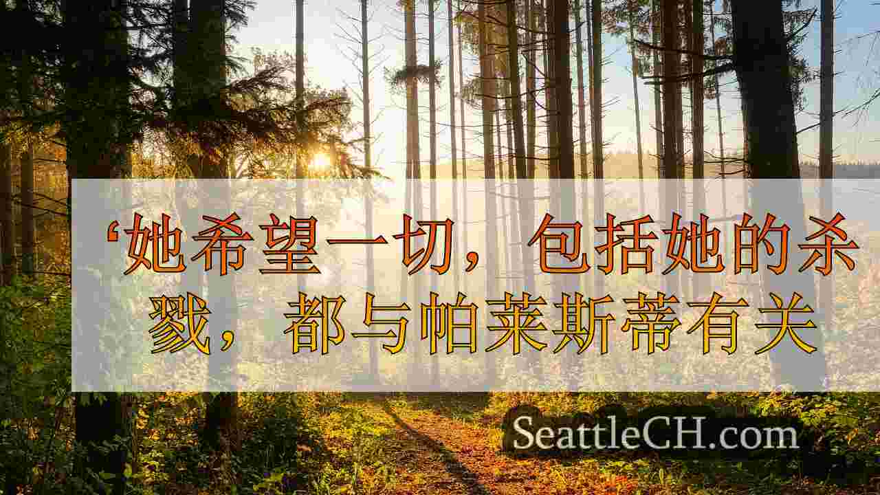 西雅图新闻 SeattleCH