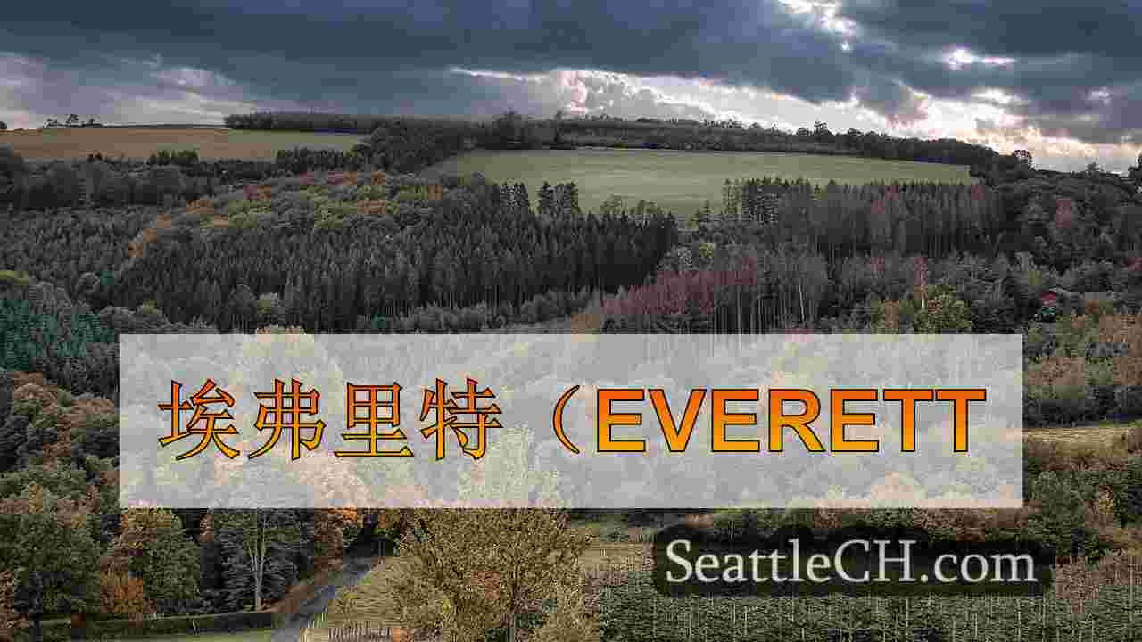 西雅图新闻 SeattleCH