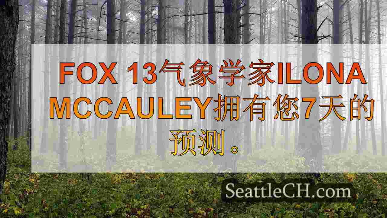 西雅图新闻 SeattleCH