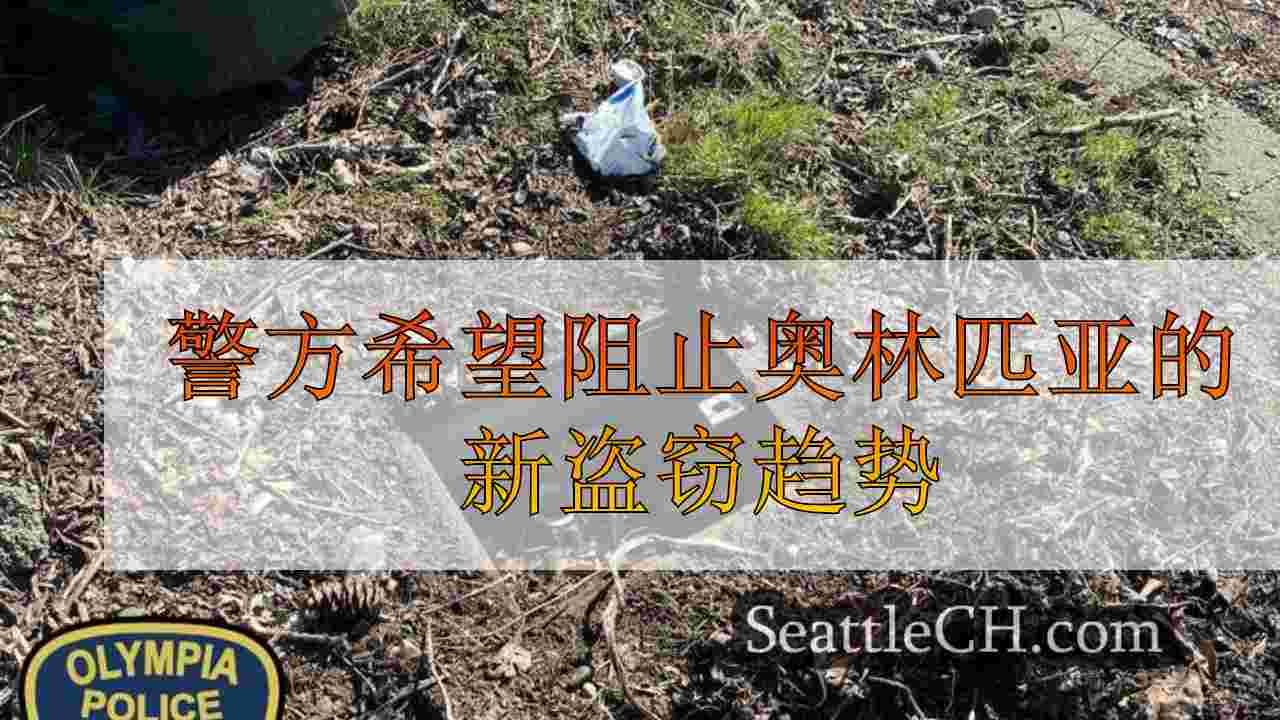 警方希望阻止奥林匹亚的新盗窃趋势