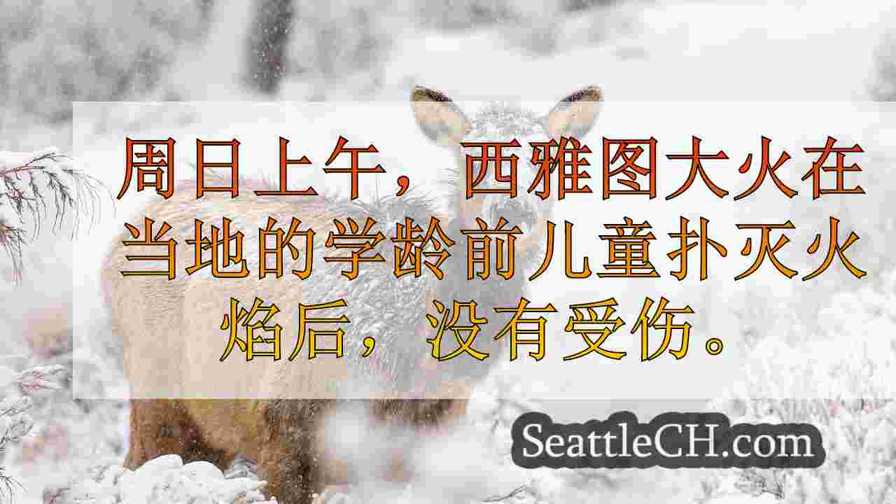 西雅图新闻 SeattleCH