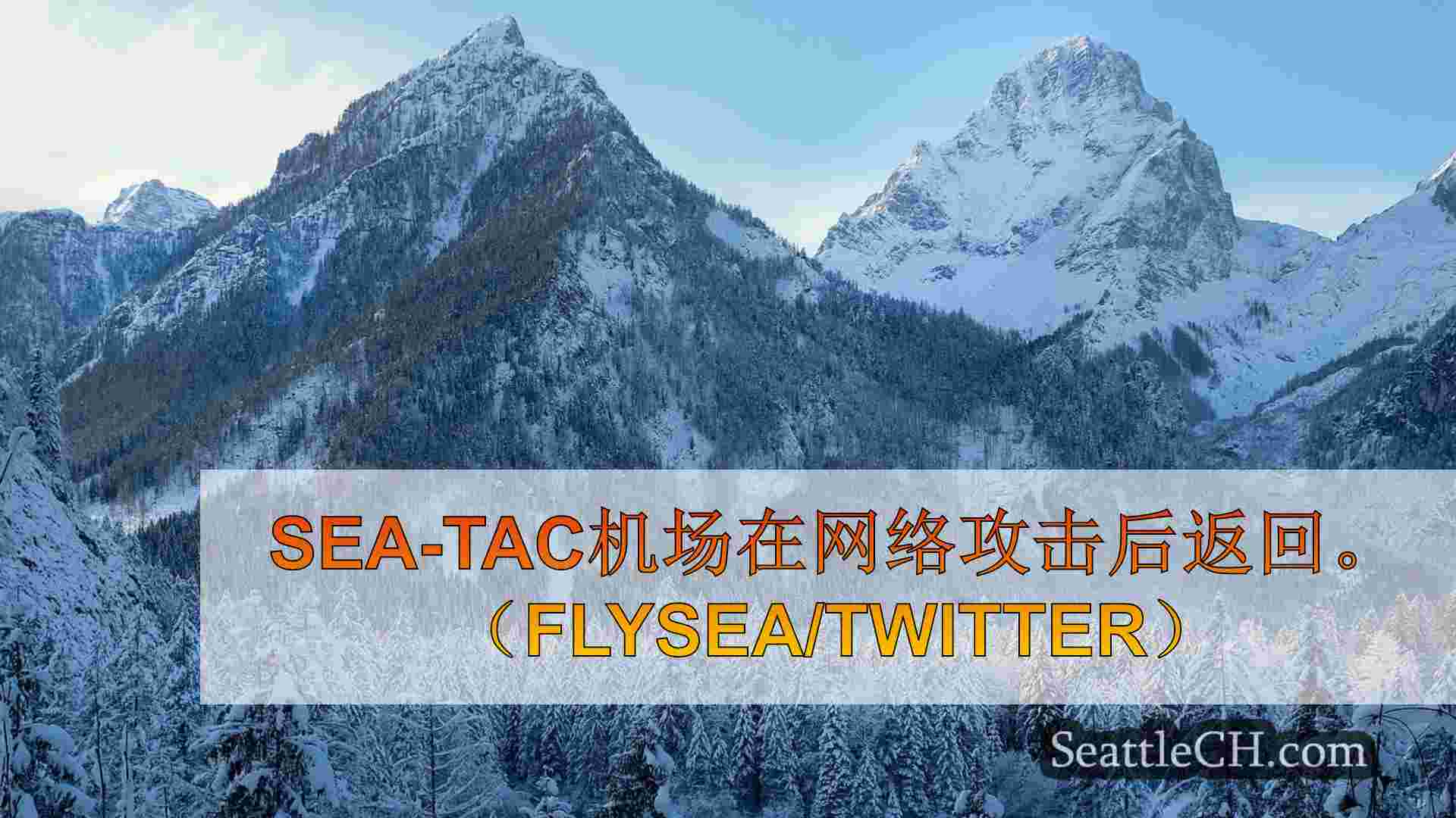 西雅图新闻 SeattleCH