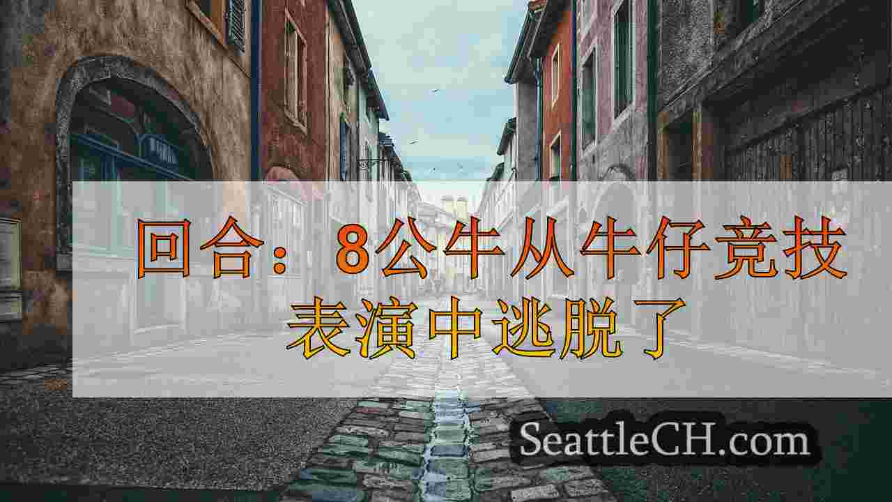 西雅图新闻 SeattleCH