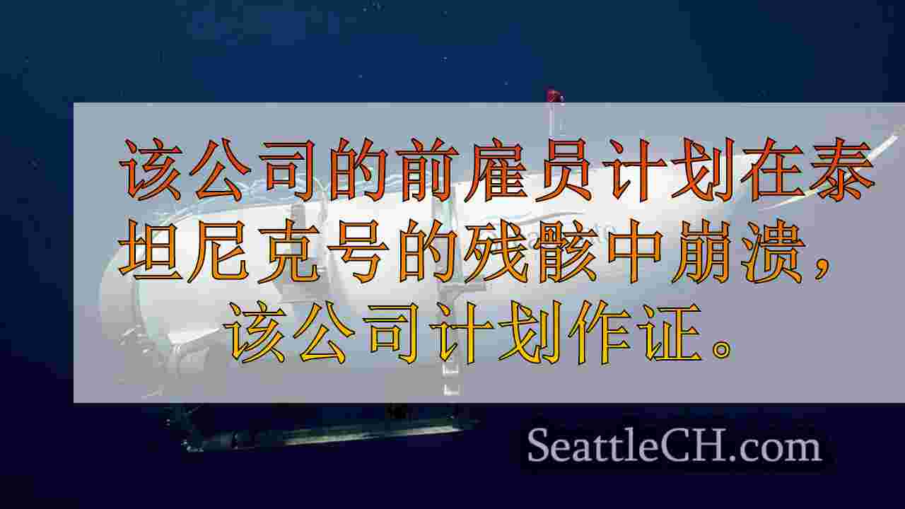 泰坦尼克号潜艇所有者的前雇员在海岸警卫队面板之前作证