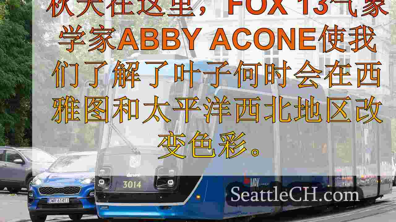 西雅图新闻 SeattleCH