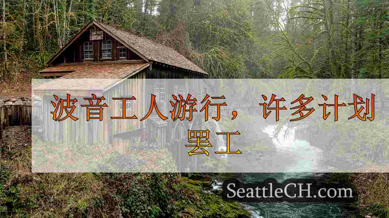 西雅图新闻 SeattleCH