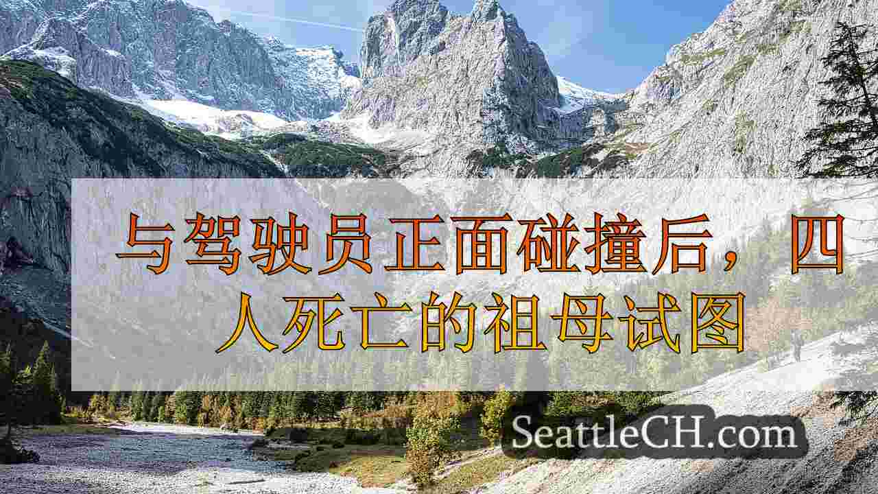 西雅图新闻 SeattleCH