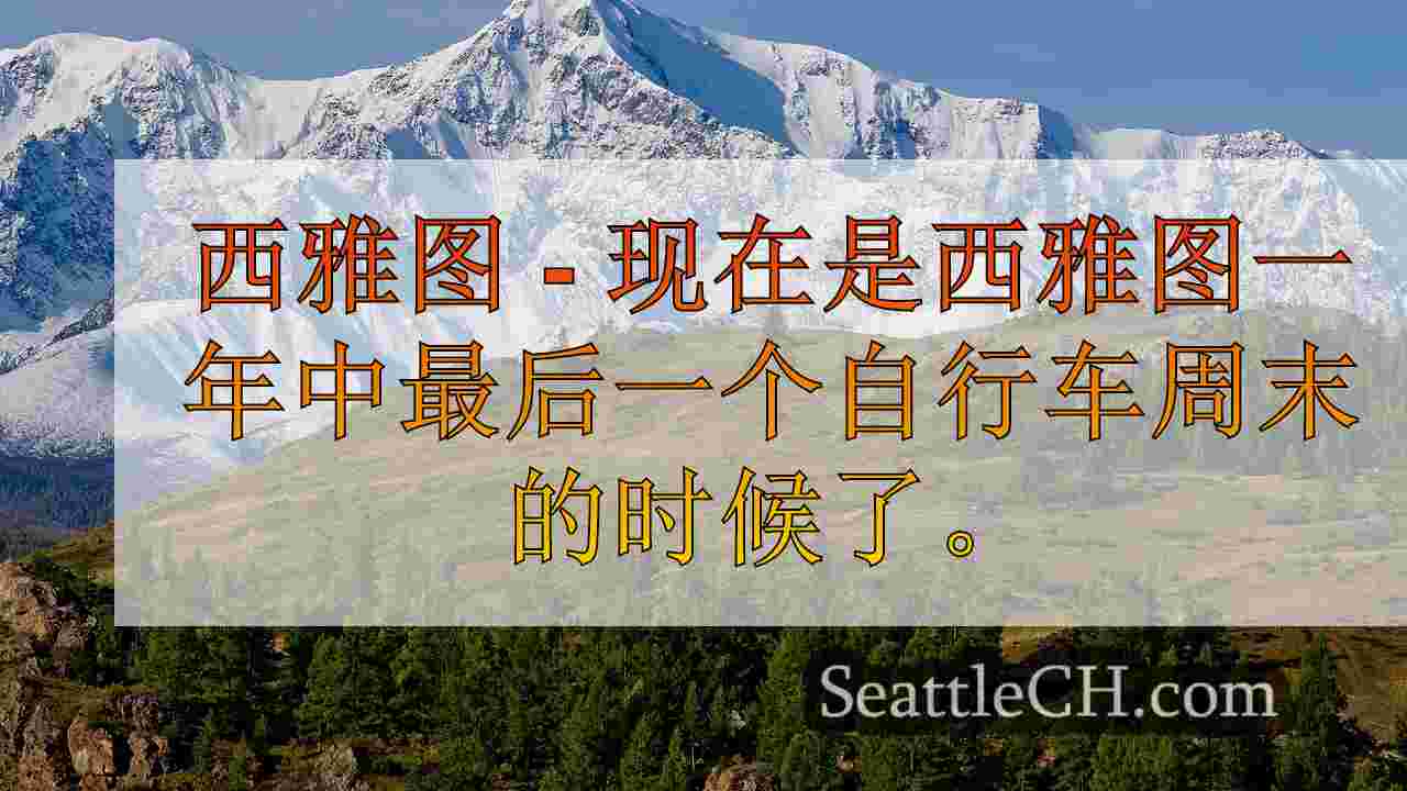 西雅图新闻 SeattleCH