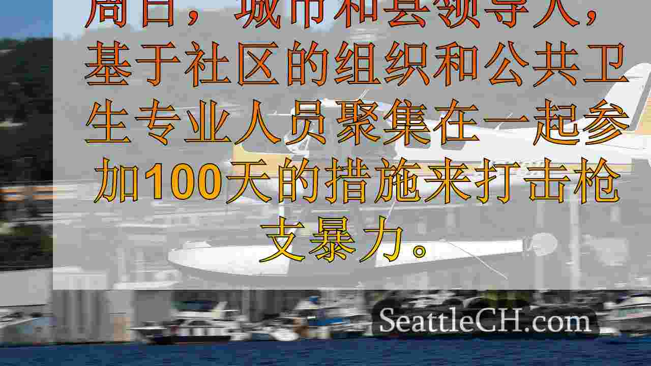 领导人就西雅图的枪支暴力进行了坦率的对话