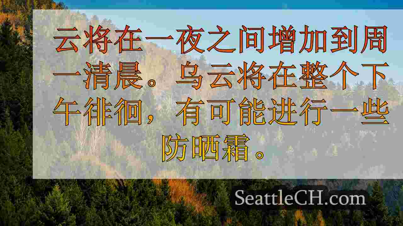西雅图的灰色，更多类似秋天的天气