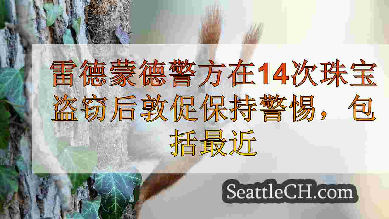 西雅图新闻 SeattleCH