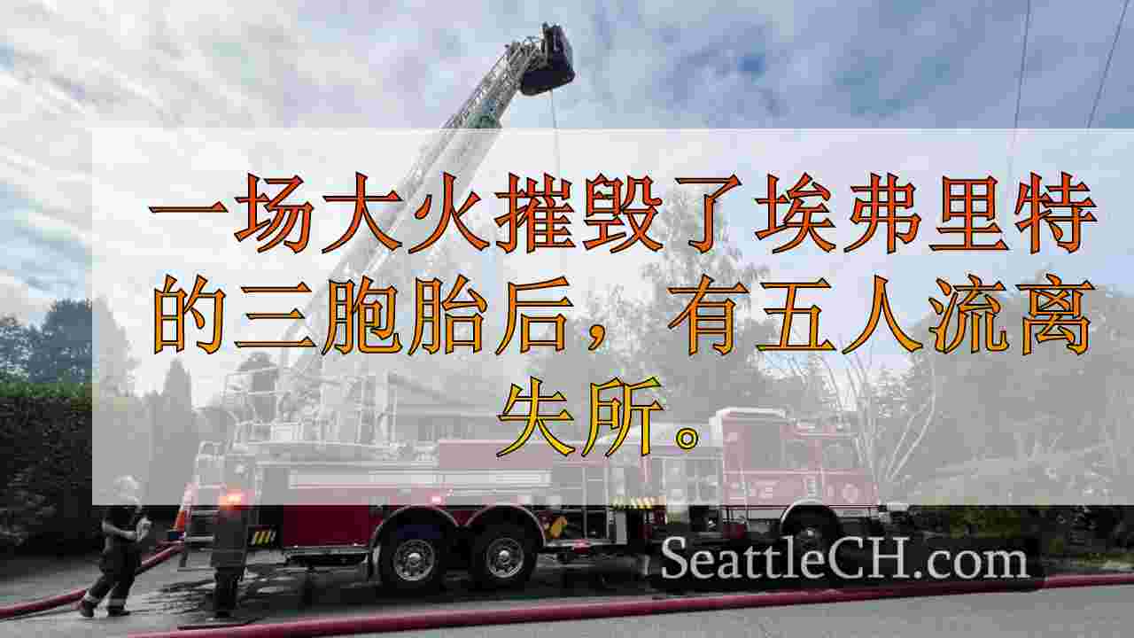 5个流离失所，2只猫在Everett Triplex Fire中丧生