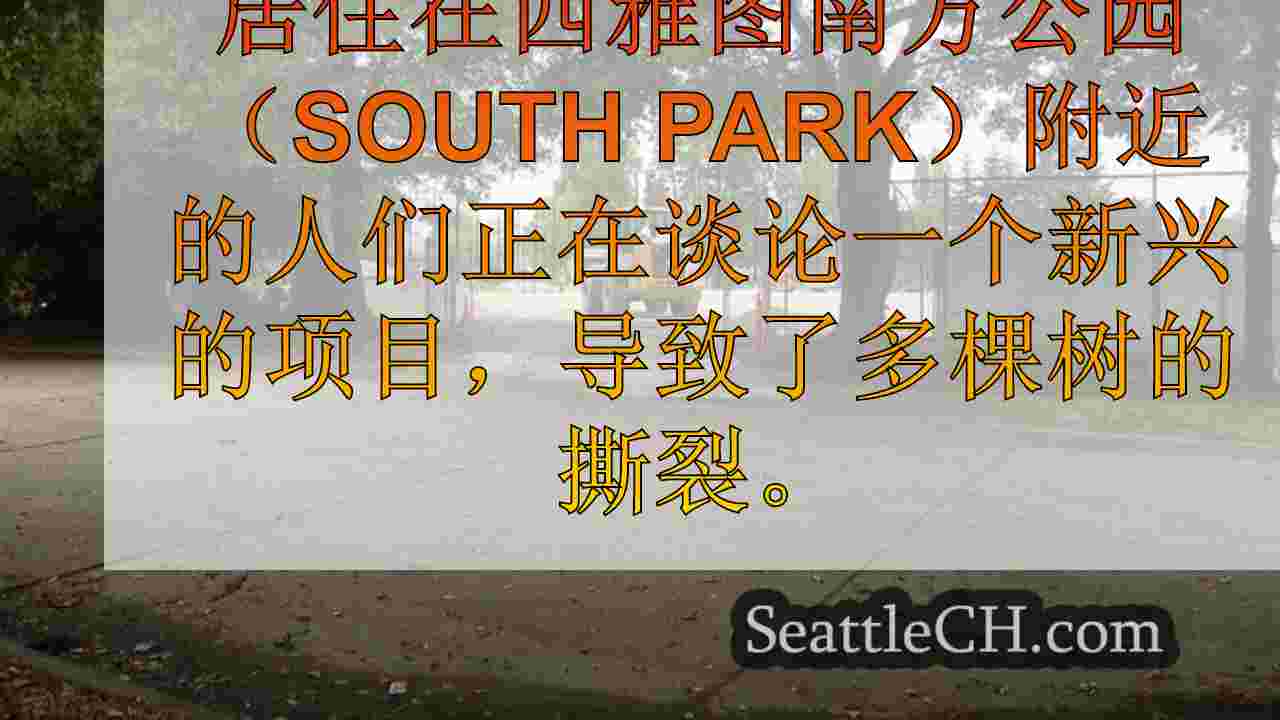 西雅图新闻 SeattleCH