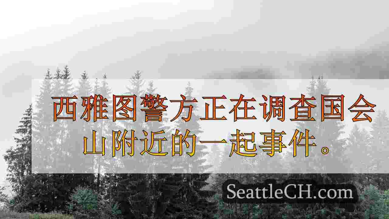 西雅图新闻 SeattleCH