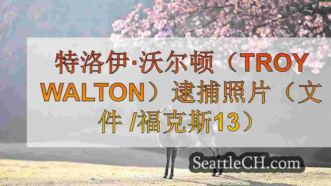 西雅图新闻 SeattleCH
