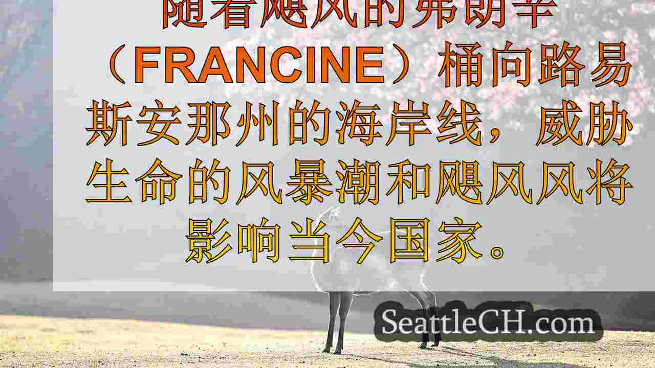 西雅图新闻 SeattleCH