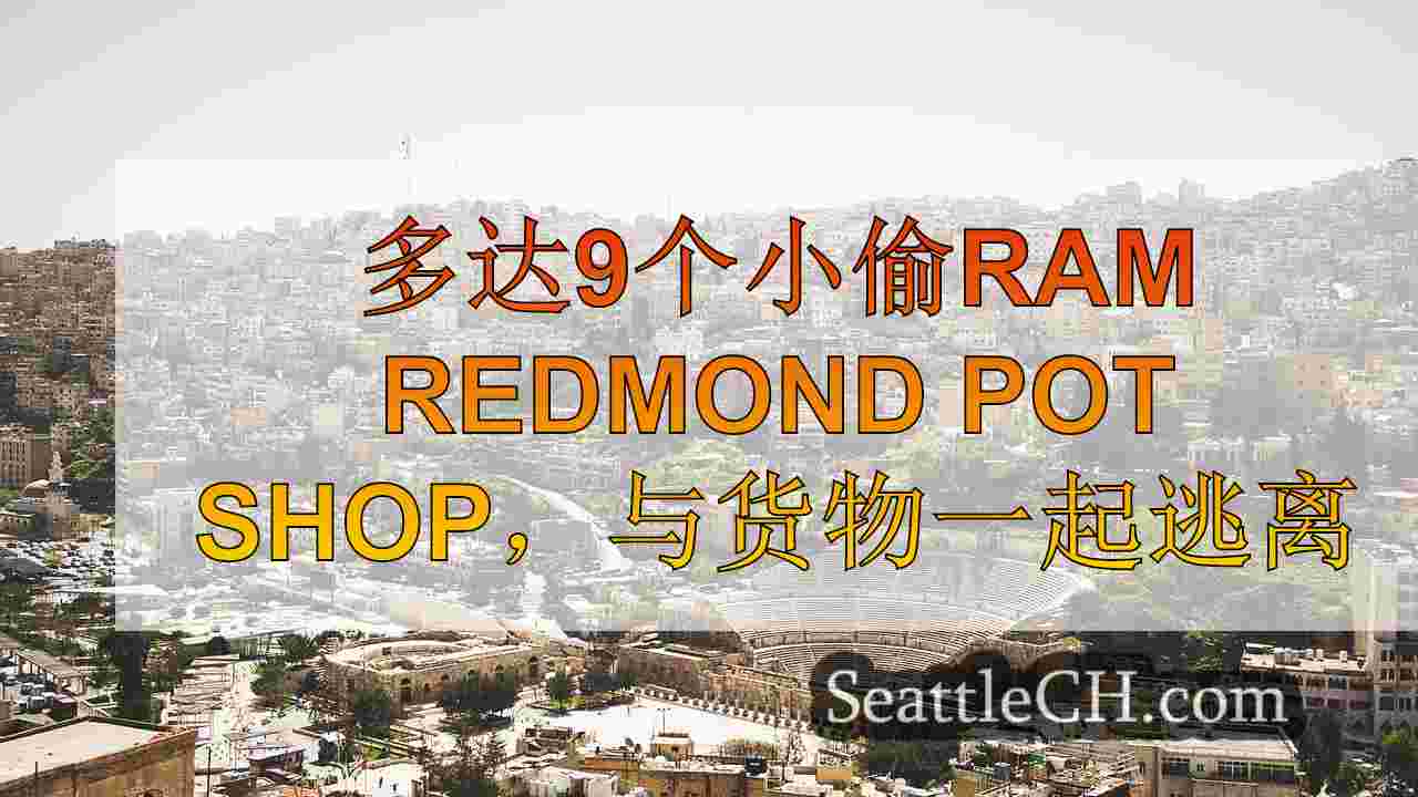 西雅图新闻 SeattleCH