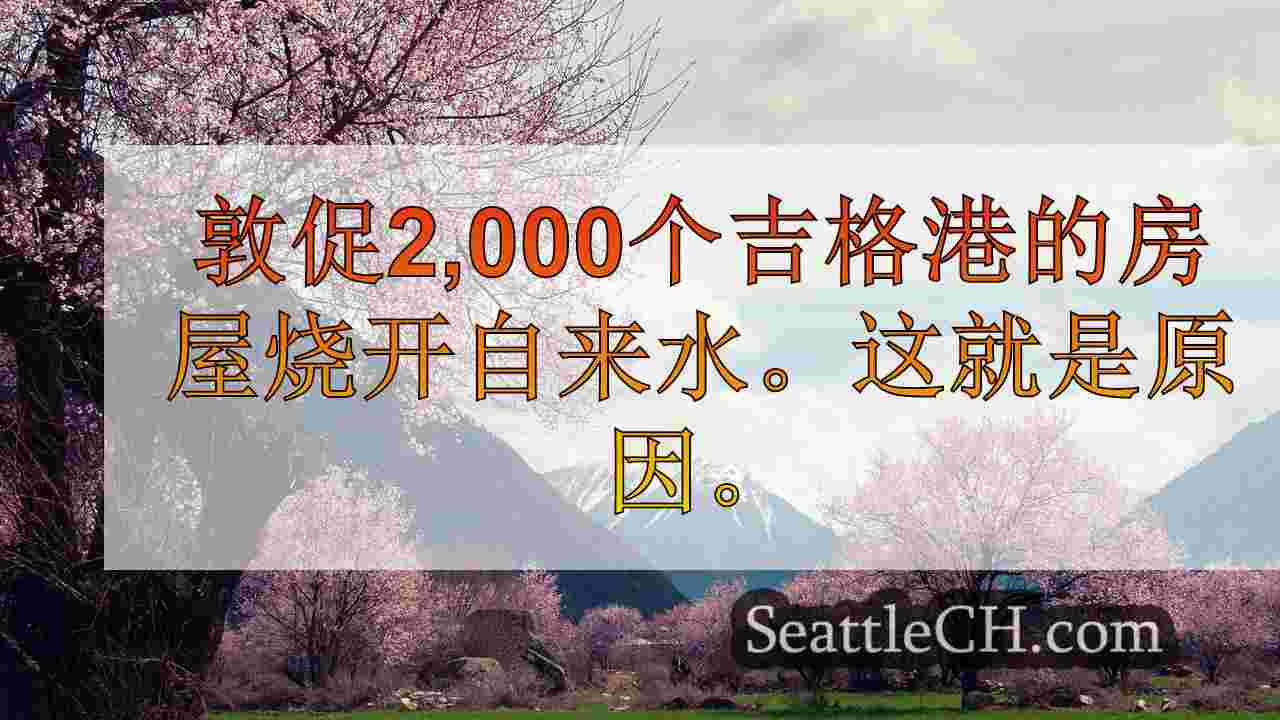 西雅图新闻 SeattleCH