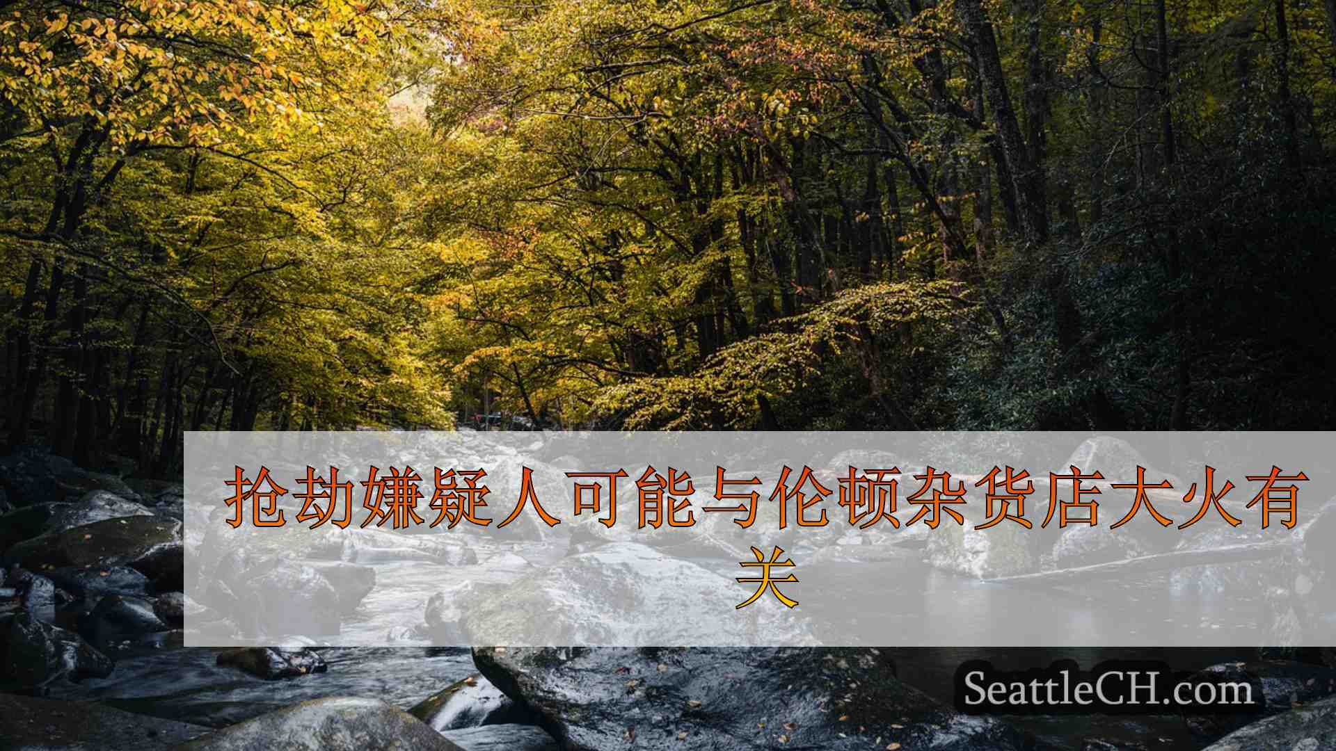 西雅图新闻 SeattleCH