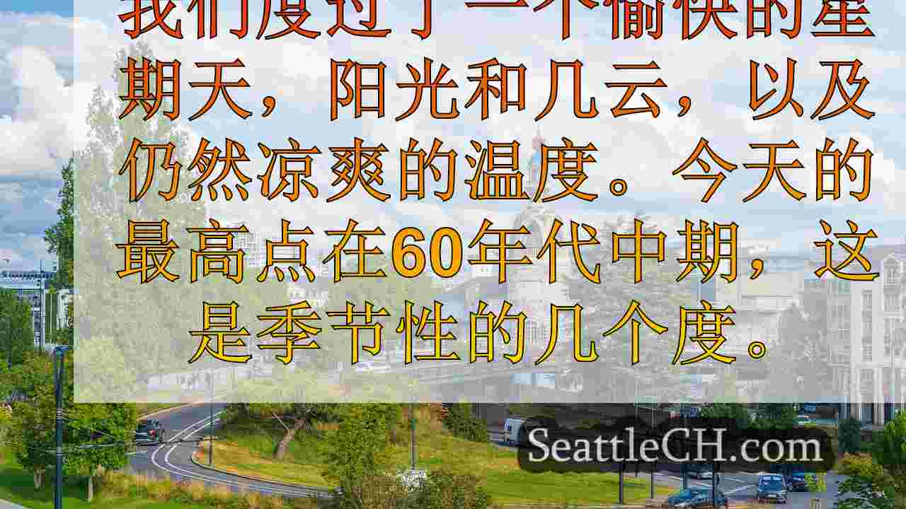 西雅图新闻 SeattleCH