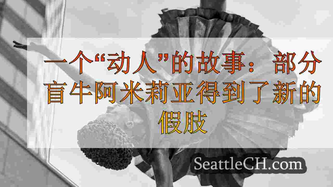 西雅图新闻 SeattleCH