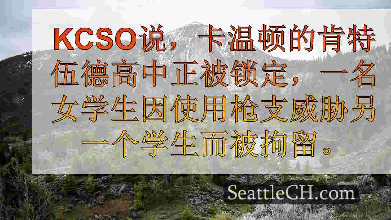 西雅图新闻 SeattleCH