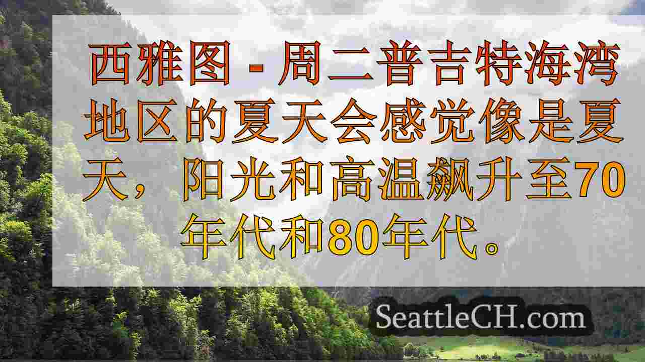 西雅图新闻 SeattleCH