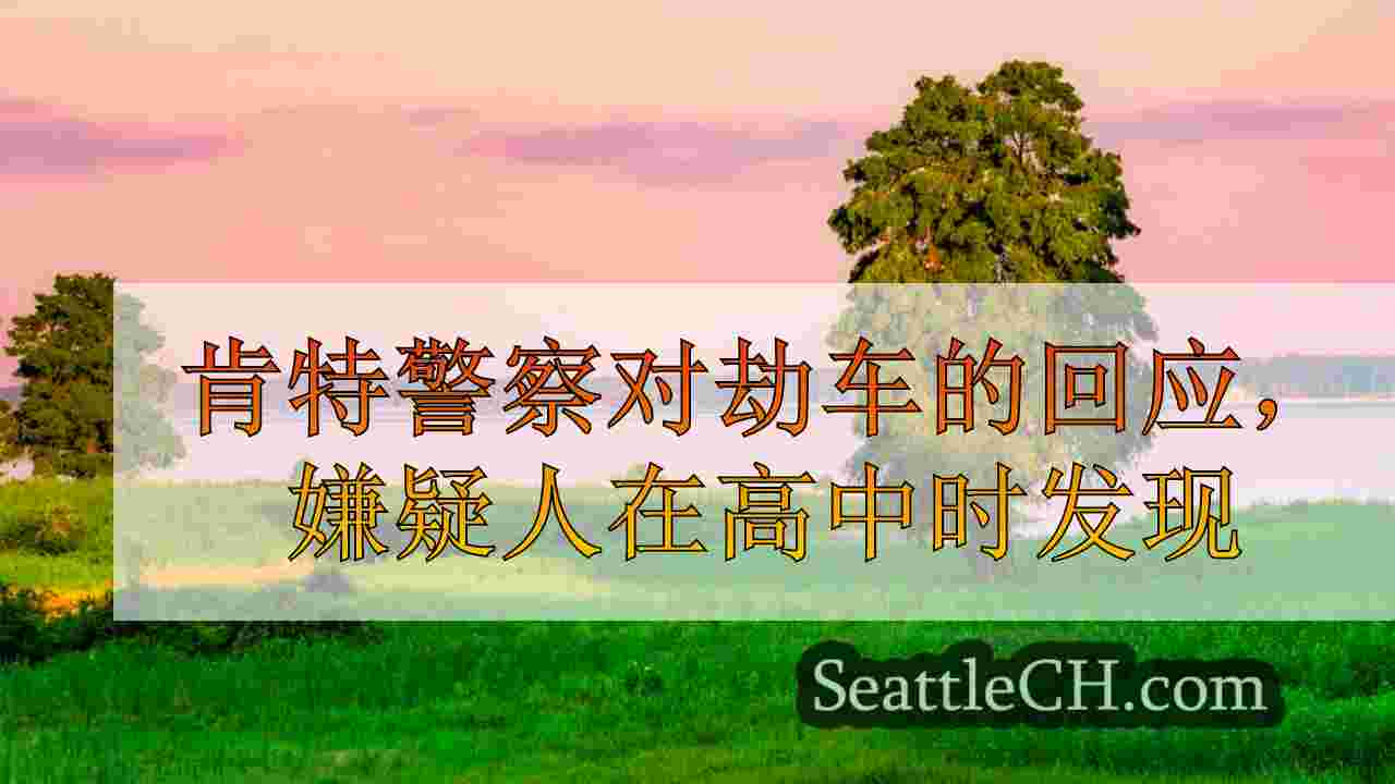 西雅图新闻 SeattleCH