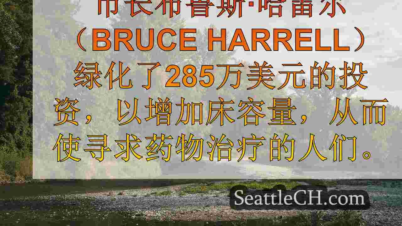 西雅图新闻 SeattleCH