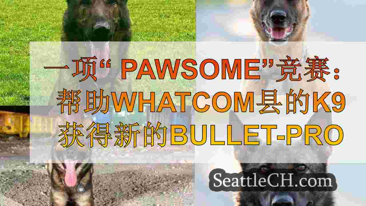一项“ Pawsome”竞赛：帮助Whatcom县的K9S获得新的防弹背心