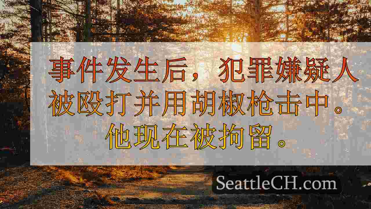 西雅图新闻 SeattleCH
