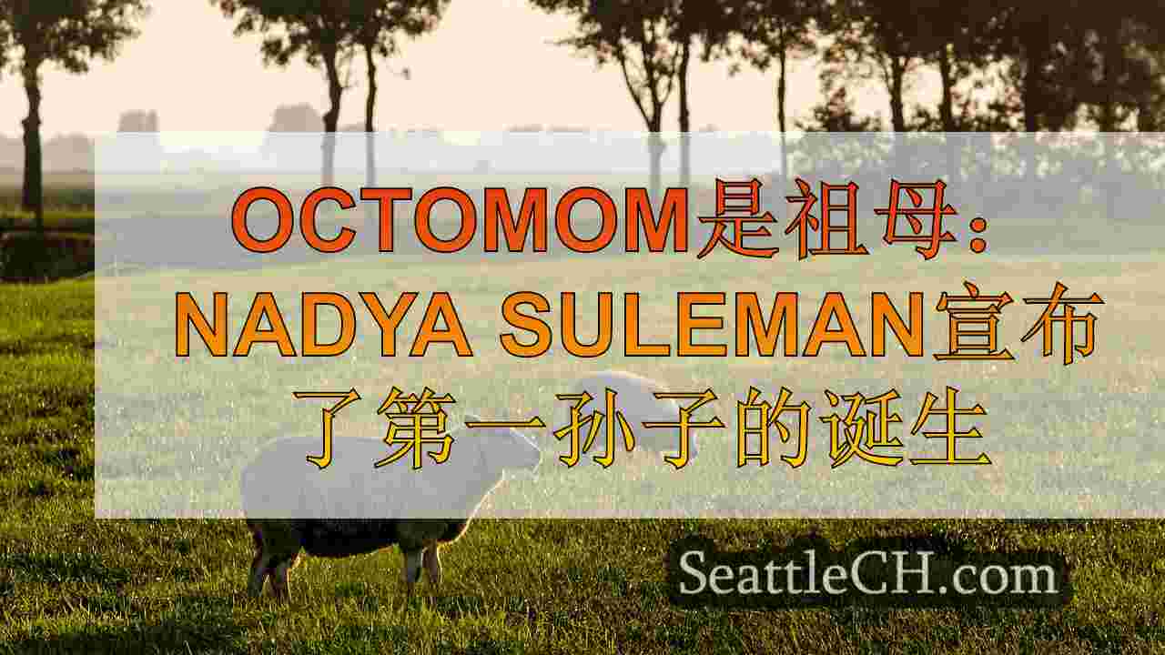 西雅图新闻 SeattleCH